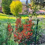 Casale Delle Querce In Umbria With Pool *