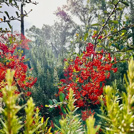 Casale Delle Querce In Umbria With Pool Giove