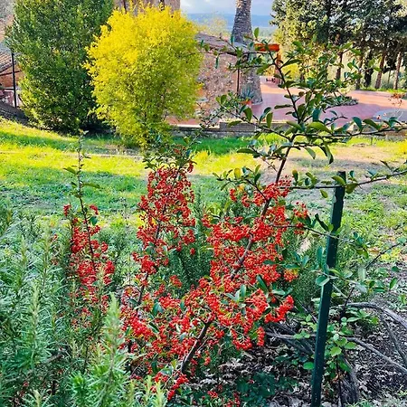 Casale Delle Querce In Umbria With Pool *