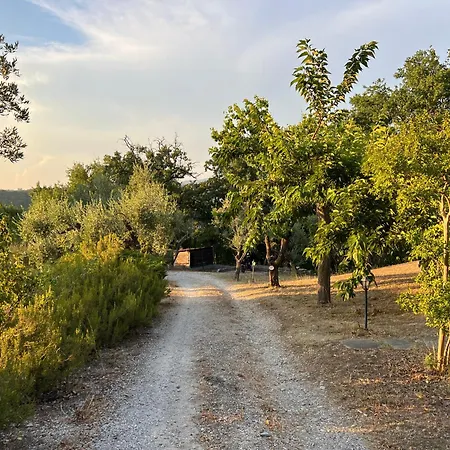 Villa Casale Delle Querce In Umbria With Pool *